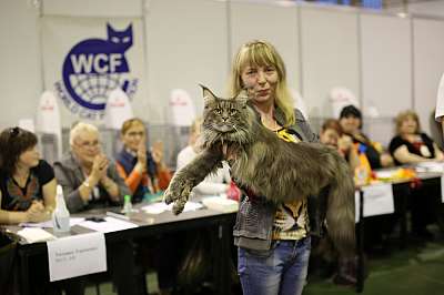 �������� ����� '���-�����-��������' 20-21 �������� 2014 1-251-169A1761 copy.jpg